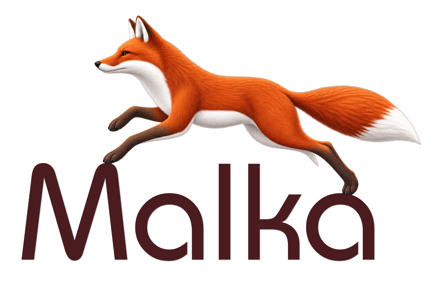 Malka-Academy - les programmes pour aller mieux